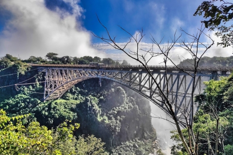 Wodospady Wiktorii: Wycieczka po historycznym moście prowadzona przez miejscowychWodospady Wiktorii: Wycieczka mostem prowadzona przez miejscowych