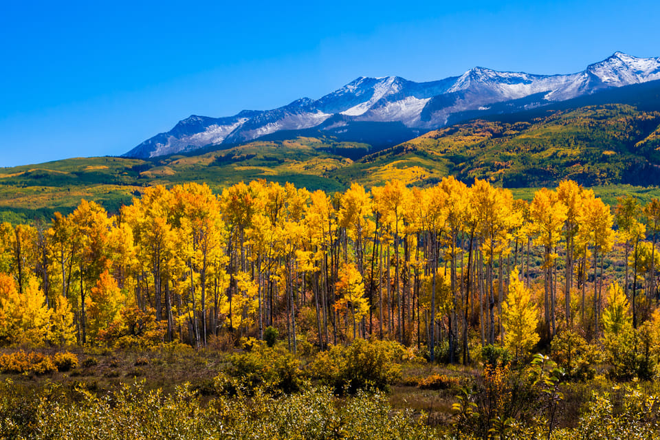 Rocky Mountain National Park: Driving Audio Tour App