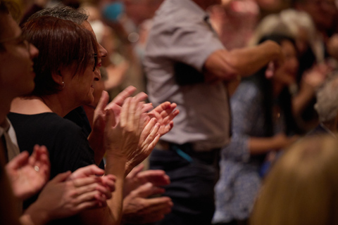 Wenen: klassiek concert in de StephansdomWA Mozart Requiem by Night - Categorie 2 met uitzicht