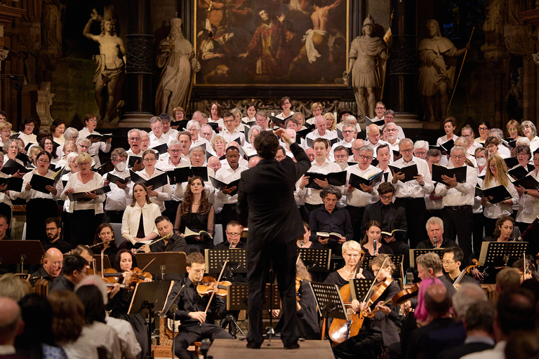 Wenen: klassiek concert in de StephansdomWA Mozart Requiem by Night - Categorie 2 met uitzicht