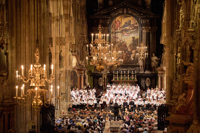 Wenen: klassiek concert in de StephansdomWA Mozart Requiem by Night - Categorie 2 met uitzicht