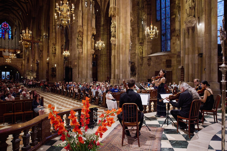 Wenen: klassiek concert in de StephansdomWA Mozart Requiem by Night - Categorie 2 met uitzicht