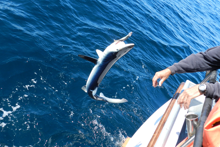 From San Leone: Private Bluefin Tuna Fishing Experience