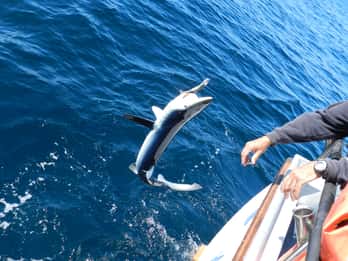 Da San Leone: esperienza di pesca privata al tonno rosso