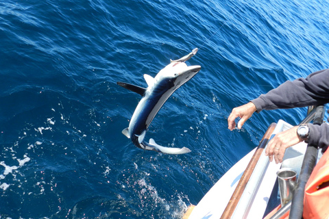 From San Leone: Private Bluefin Tuna Fishing Experience