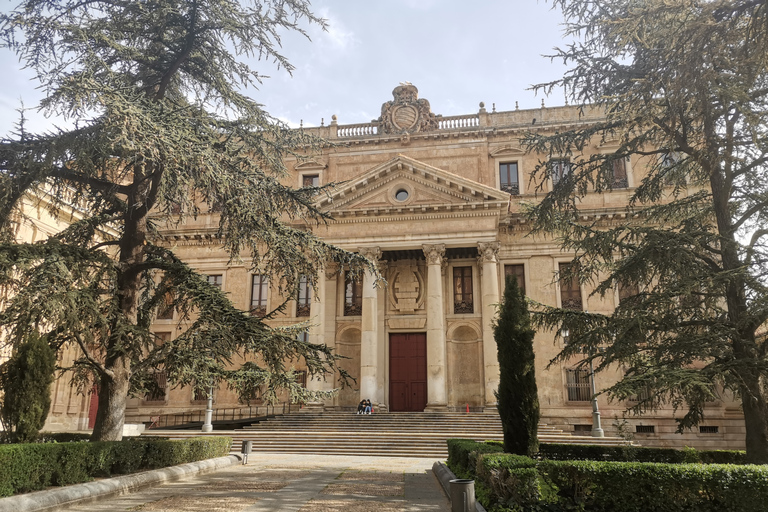 Salamanca: Monuments and Landmarks Guided Walking Tour 2.5-Hour Tour