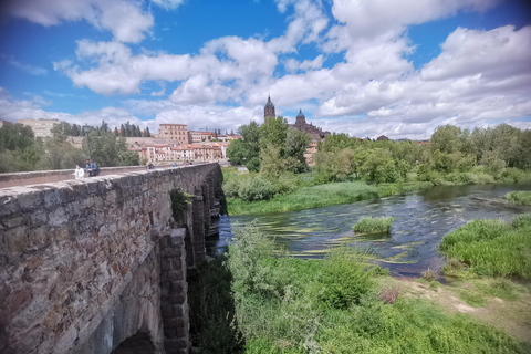 Salamanca: Monuments and Landmarks Guided Walking Tour 2.5-Hour Tour