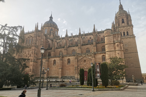 Salamanca: Monuments and Landmarks Guided Walking Tour 2.5-Hour Tour