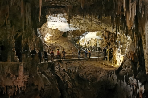 Z Lublany: wycieczka z przewodnikiem po jaskini Postojna i zamku Predjama