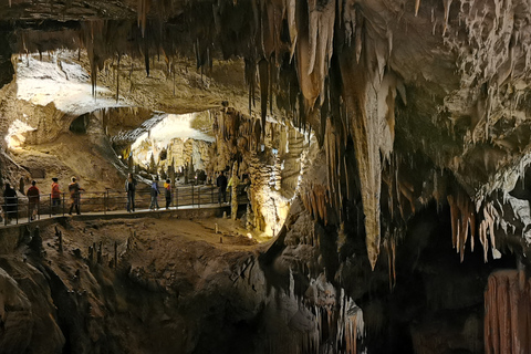 Da Lubiana: gita guidata alle grotte di Postumia e al castello di Predjama