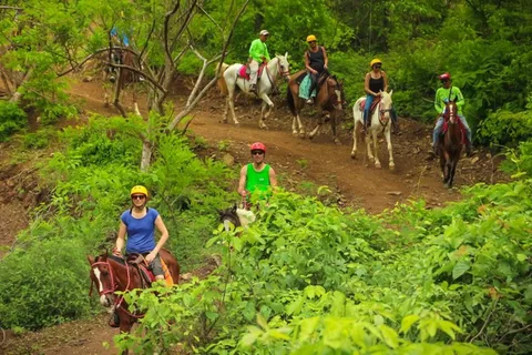 Playa Matapalo: Scenic Horseback Riding Adventure