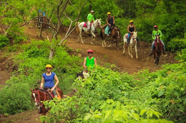 Visit Playa Matapalo Scenic Horseback Riding Adventure in Tamarindo