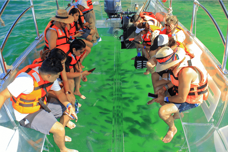 Los Cabos: Transparent Boat Tour | GetYourGuide