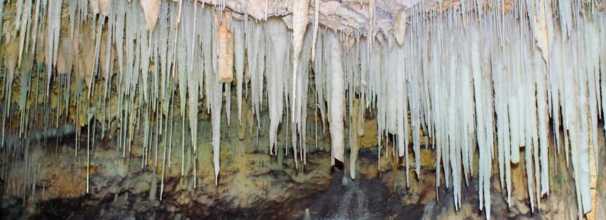 Depuis George Town : visite des grottes de cristal des Caïmans