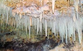 From George Town: Cayman Crystal Caves Tour with Transfer