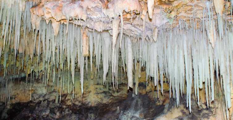 From George Town: Cayman Crystal Caves Tour with Transfer