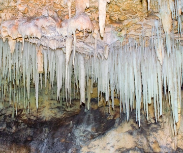 De George Town: Excursão às cavernas de cristal de Cayman com traslado