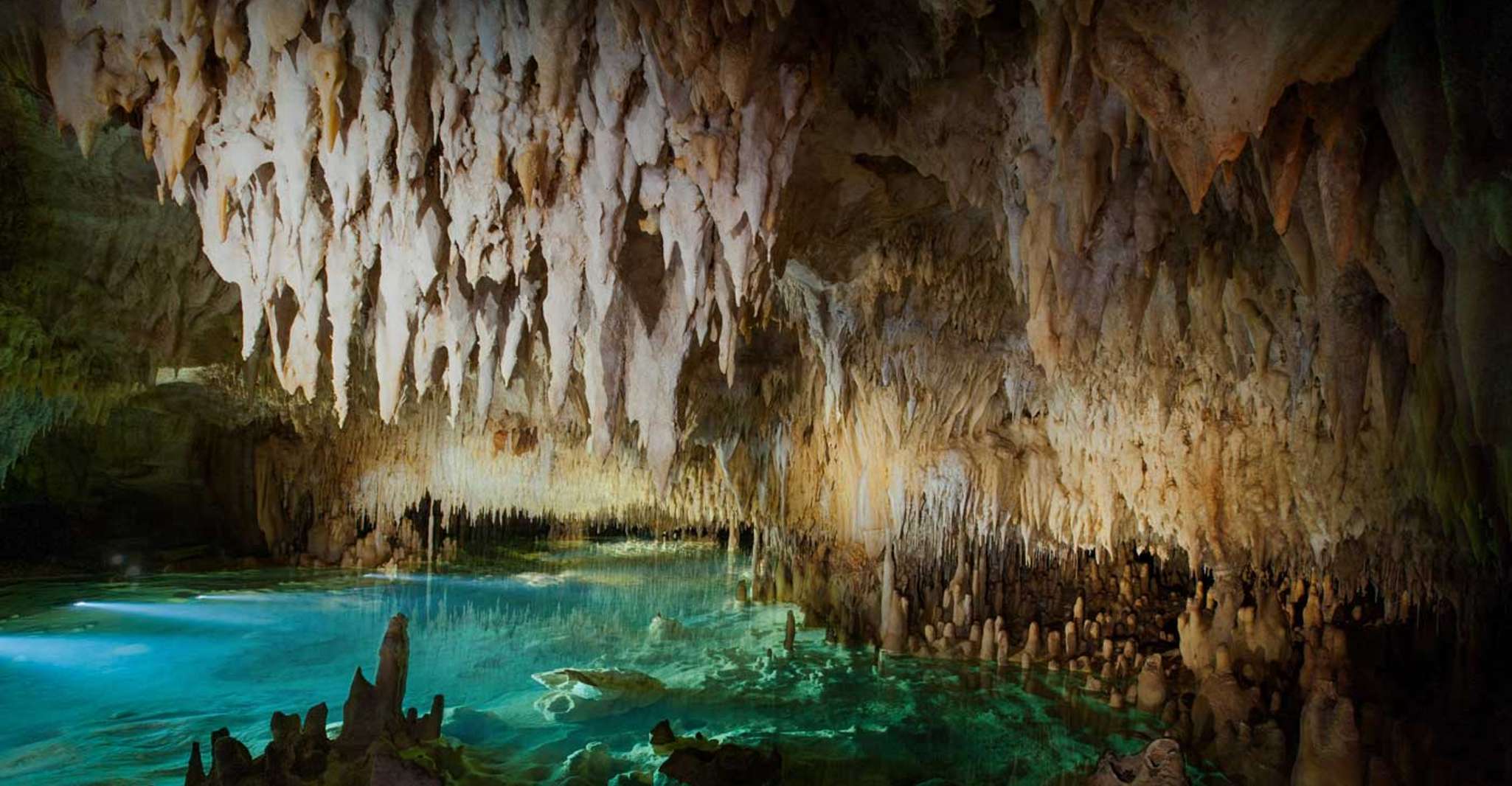 Suitetrails - From George Town, Cayman Crystal Caves Tour with Transfer