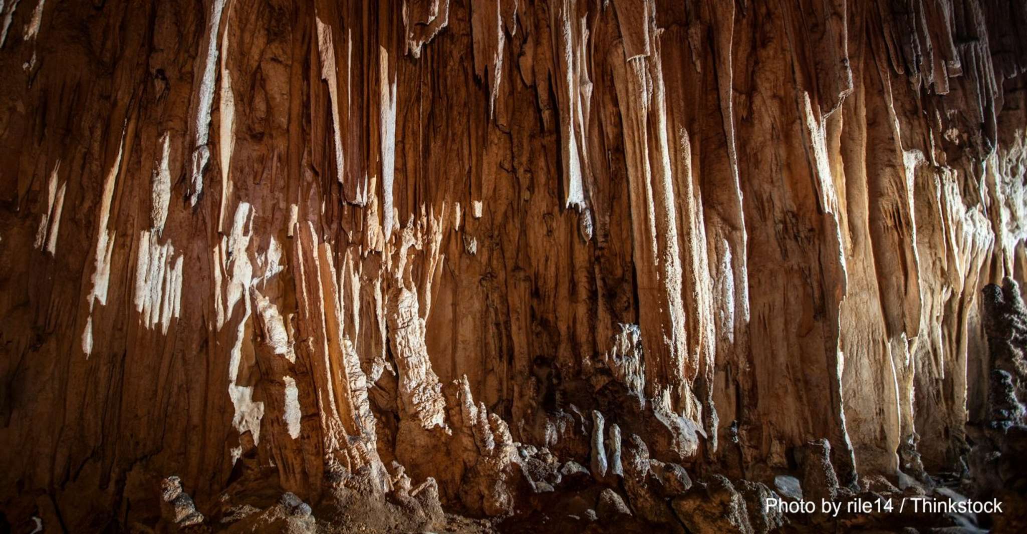 Suitetrails - From George Town, Cayman Crystal Caves Tour with Transfer
