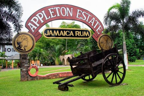 From Montego Bay: Appleton Estate & Pelican Bar Private Trip