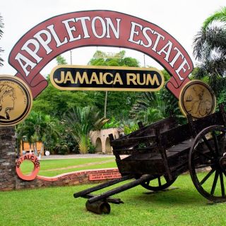 From Montego Bay: Appleton Estate & Pelican Bar Private Trip