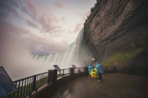 Canadian Falls Tour with Boat Cruise & Skylon Tower