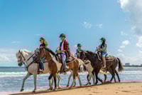 Carabalí Rainforest Park, cavalli da viaggio in spiaggia - Housity