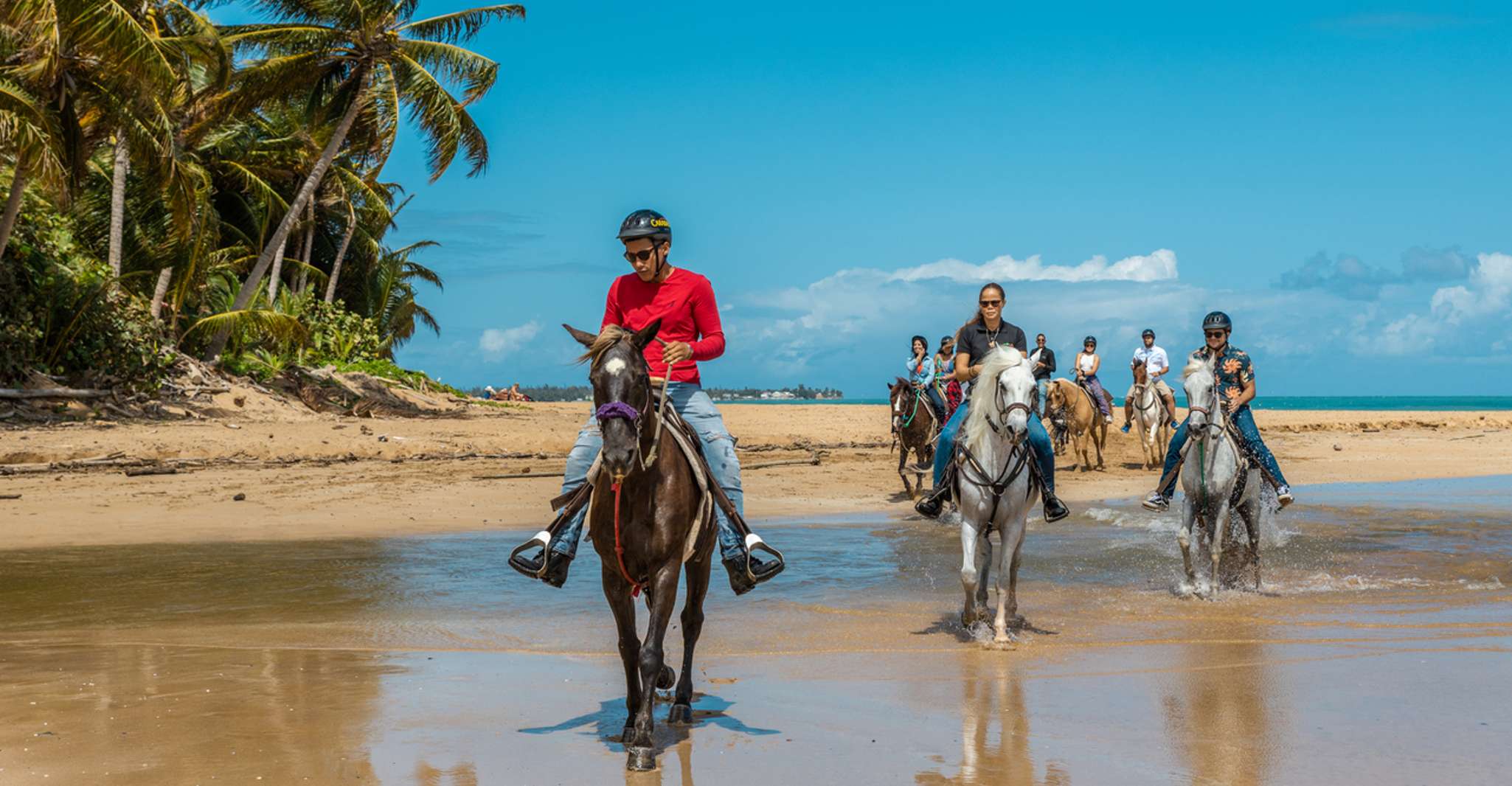 Carabalí Rainforest Park, Beach Horseback Riding - Housity