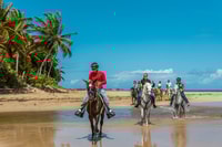 Carabalí Rainforest Park, cavalli da viaggio in spiaggia - Housity