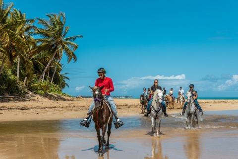 Parc de la forêt tropicale de Carabalí : balade à cheval sur la plage