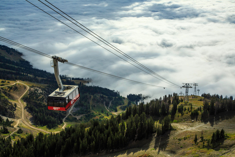 Jackson Hole: Aerial Tram and Gondolas Sightseeing Aerial Tram Only - Early Summer 2026