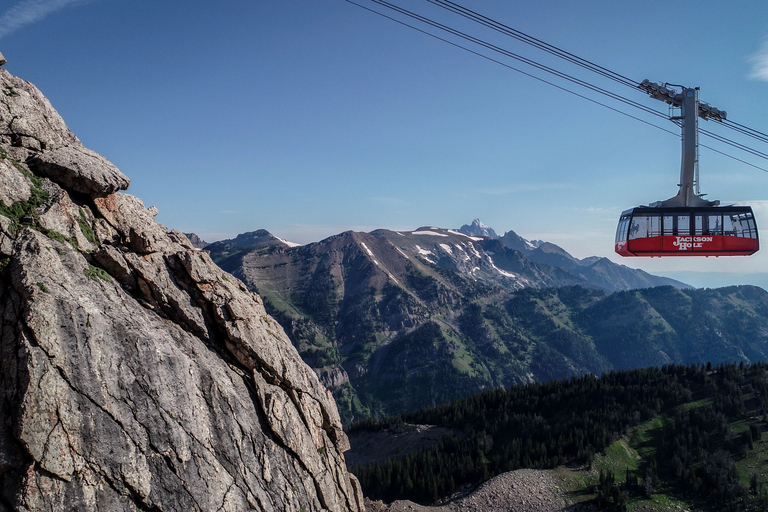Jackson Hole: Aerial Tram and Gondolas Sightseeing Aerial Tram Only - Early Summer 2026