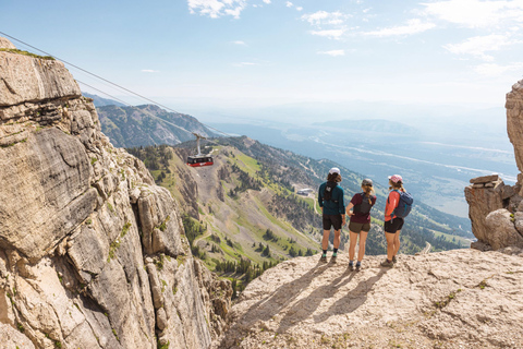 Jackson Hole: Aerial Tram and Gondolas Sightseeing Aerial Tram Only - Early Summer 2026