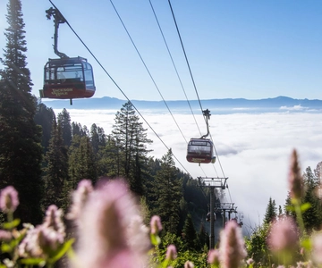 Jackson Hole: Aerial Tram and Gondolas Admission Ticket