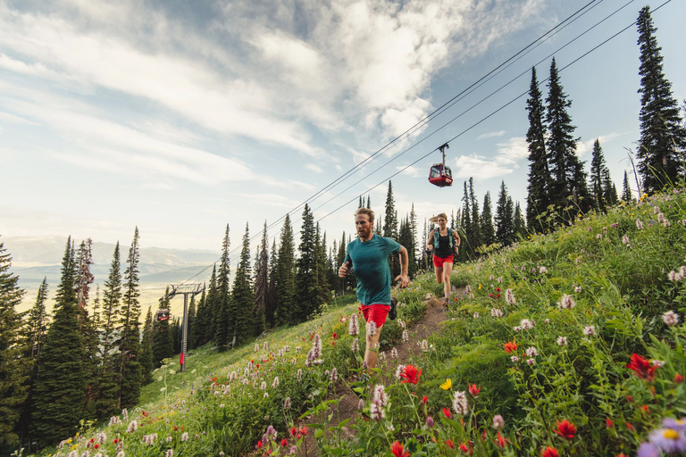 Jackson Hole: Aerial Tram and Gondolas Sightseeing Aerial Tram Only - Early Summer 2026
