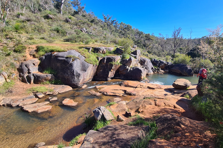 From Perth or Baldivis: Perth Hills Hike, Wine & Dine Tour From Perth or Baldivis: Perth Hills Hike, Wine, & Dine Tour