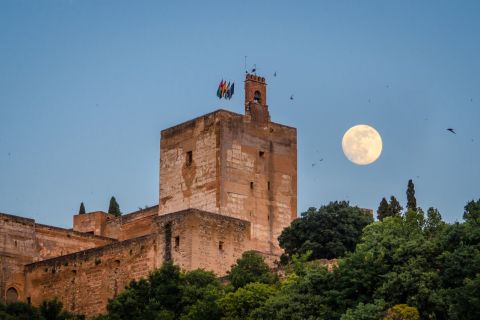 Granada: Alhambra and City Private Tour