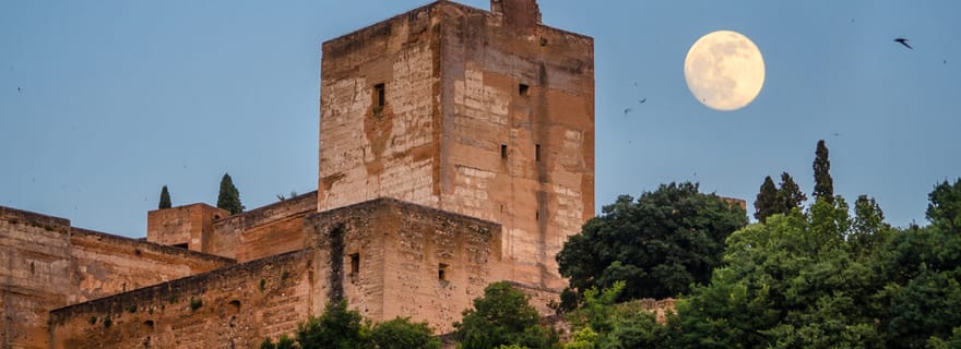 Visite privée de l'Alhambra et des palais des Nasrides