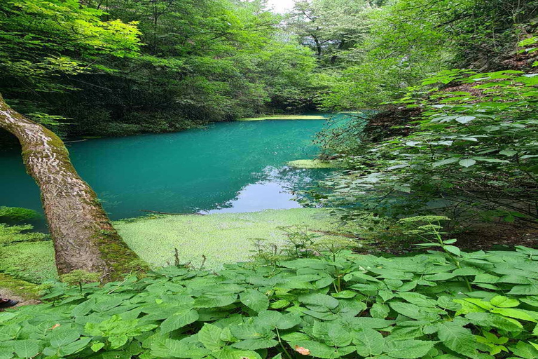 From Sofia: Zlatna Panega River Hike with Springs Visit