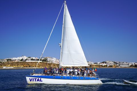 Vilamoura: Algarve Coast Beaches and Caves Catamaran Cruise