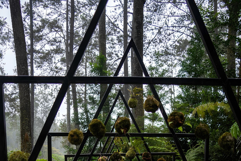 Bandung: Tangkuban Perahu Volcano Tours Tangkuban Perahu - Domas - Tahura Djuanda - Keraton Cliff