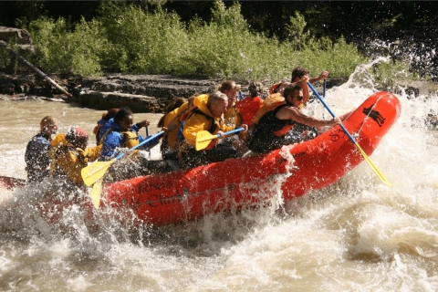 Jackson: Wyprawa raftingowa Snake River WhitewaterTratwa klasyczna dla 12 pasażerów