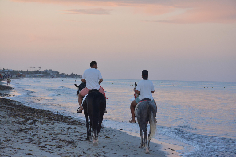 Djerba: 2 hours of horseback riding on the beach