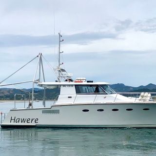 From Kawau: 2-Day Poor Knights Diving Boat Tour with Meals