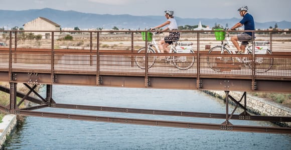 E-Bike-Tour durch Cagliari: Kanäle und Flamingos in Molentargius