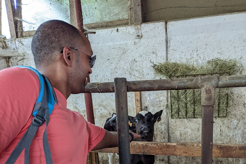 From Verona: Madonna della Corona and Sirmione Full Day Trip From Verona: Sanctuary of Madonna Della Corona Tour