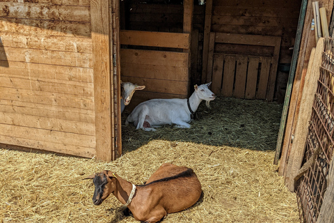 From Verona: Madonna della Corona and Sirmione Full Day Trip From Verona: Sanctuary of Madonna Della Corona Tour