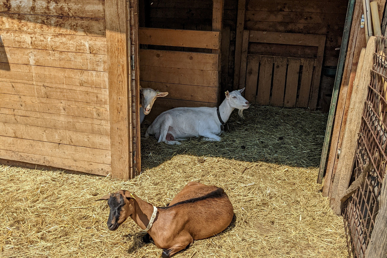 From Verona: Madonna della Corona and Sirmione Full Day Trip From Verona: Sanctuary of Madonna Della Corona Tour