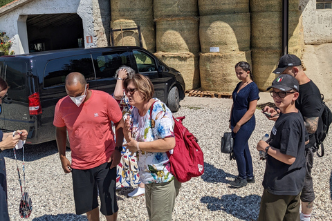 From Verona: Madonna della Corona and Sirmione Full Day Trip From Verona: Sanctuary of Madonna Della Corona Tour