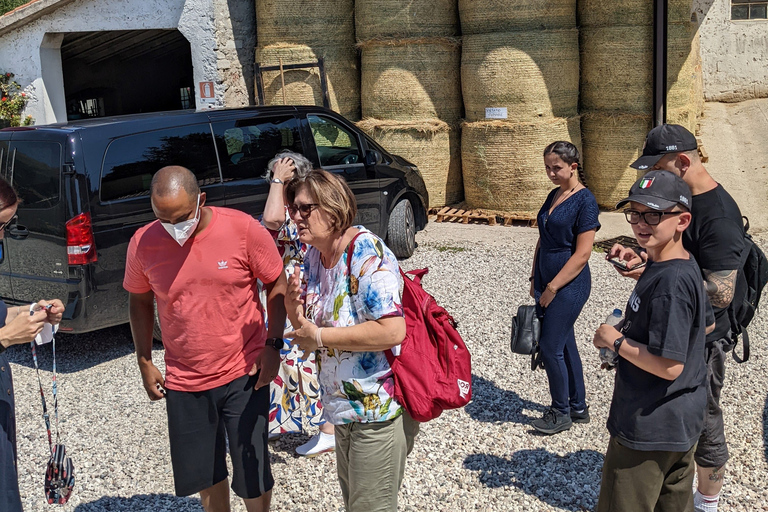 From Verona: Madonna della Corona and Sirmione Full Day Trip From Verona: Sanctuary of Madonna Della Corona Tour